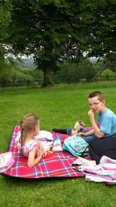 Picnic with my best buddies in our local National Trust garden.